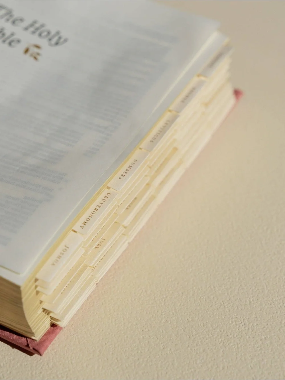 Hosanna Revival Gold Foiling Bible Tabs